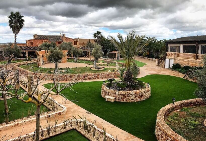 ホテル Agroturismo Es Gallicant