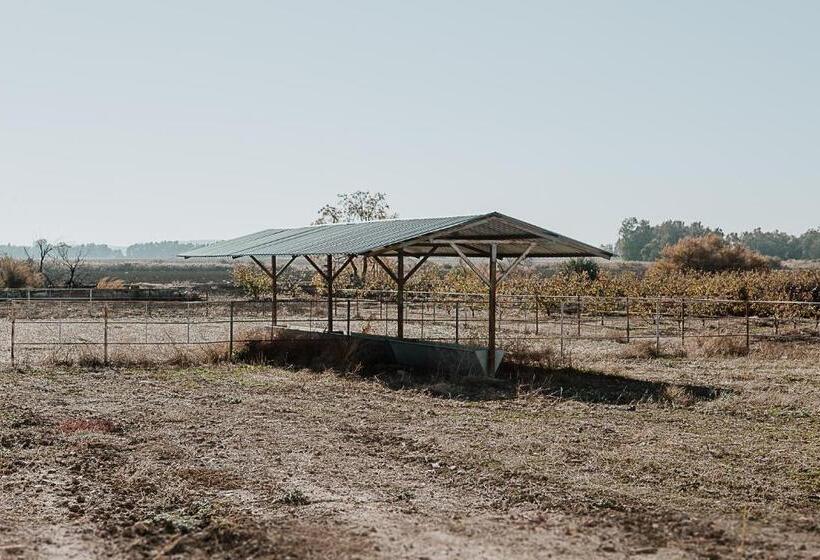 ホテル Cortijo Santa Clara