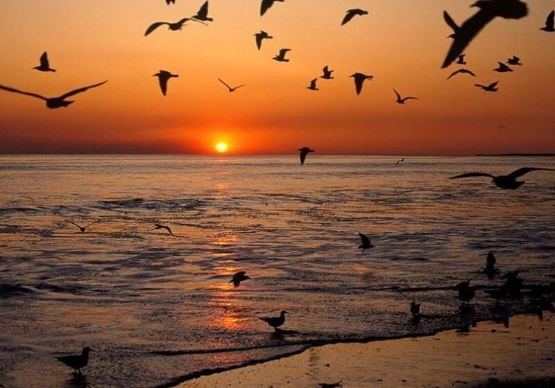 Отель Greentree Inn Rizhao Donggang Area Haina Shopping Mall Shell