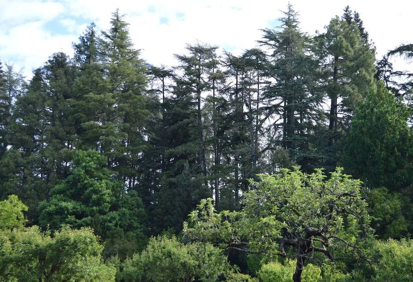 酒店 Rural Villa Onuba