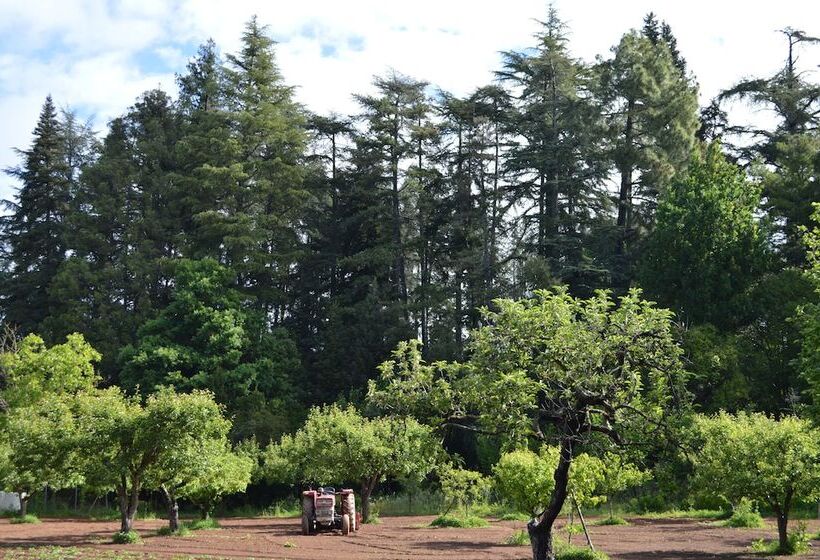 酒店 Rural Villa Onuba