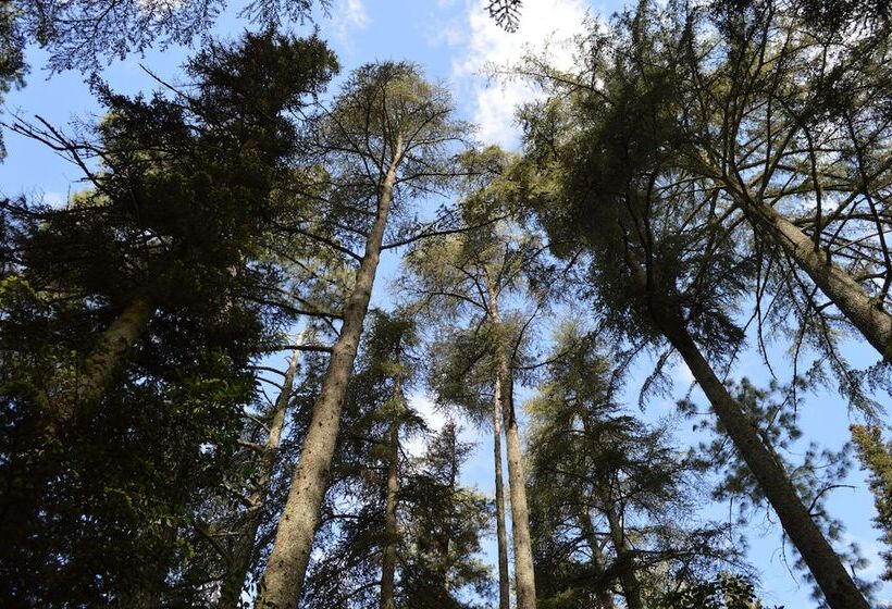 酒店 Rural Villa Onuba