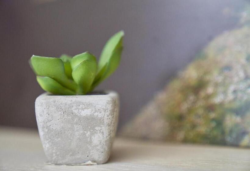 پانسیون Firmafede Guest House