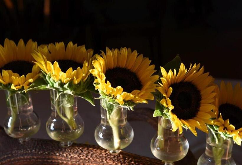 Пансион Jagdschloss Fahrenbühl Hotel Garni