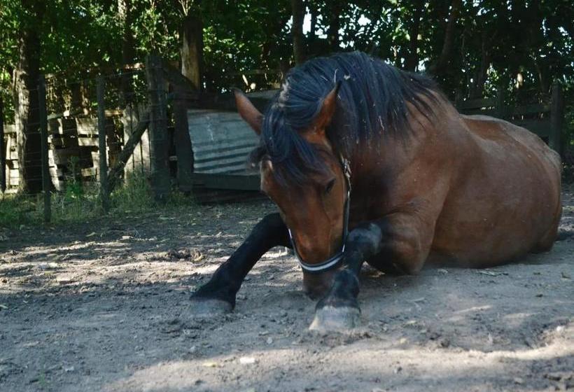 Пансион La María
