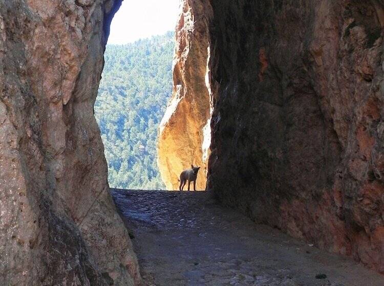 פנסיון Miralmundo Alojamientos Rurales Ayna  Hostal Rural