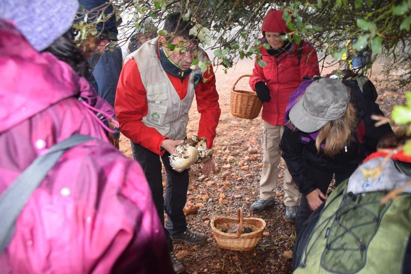 بنسيون Miralmundo Alojamientos Rurales Ayna  Hostal Rural