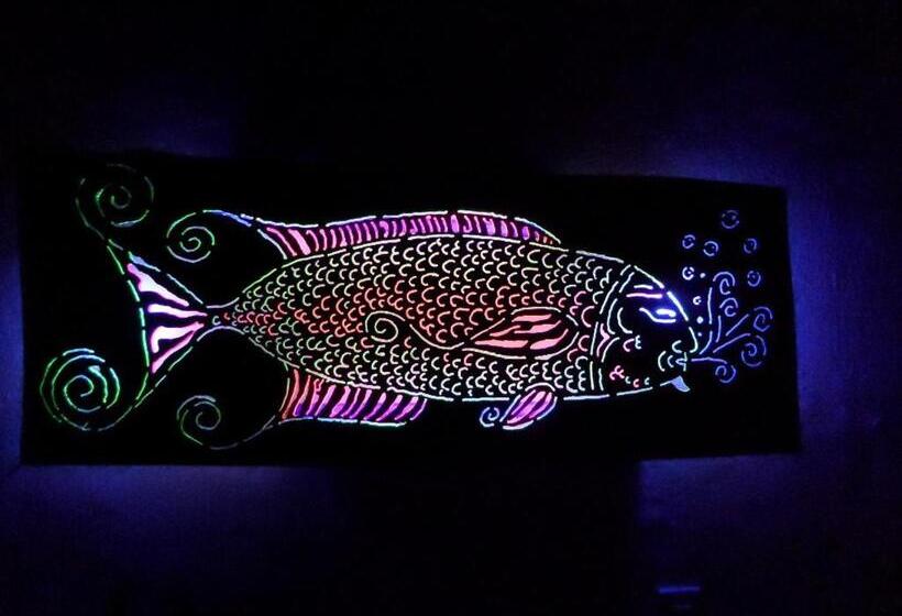 פנסיון The Mayan Grouper