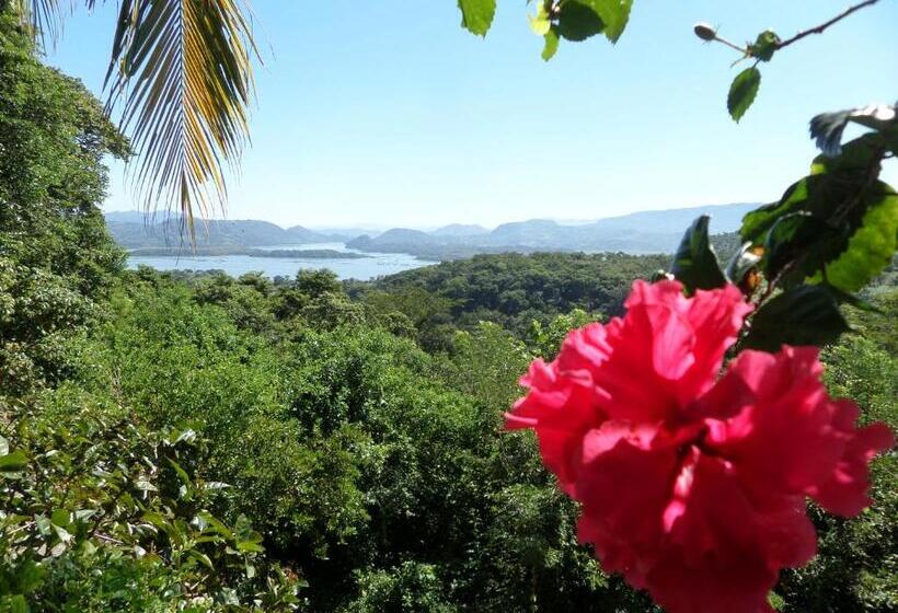 פנסיון The Mayan Grouper