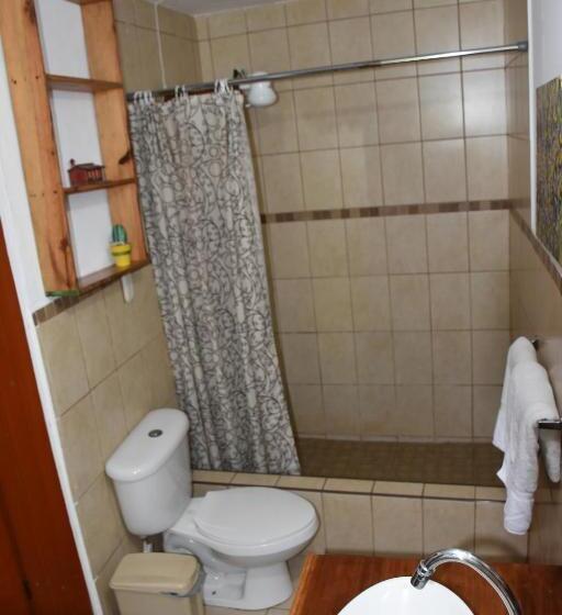 פנסיון The Mayan Grouper