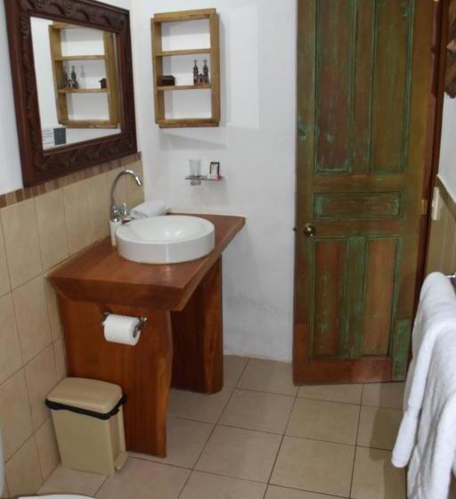 פנסיון The Mayan Grouper