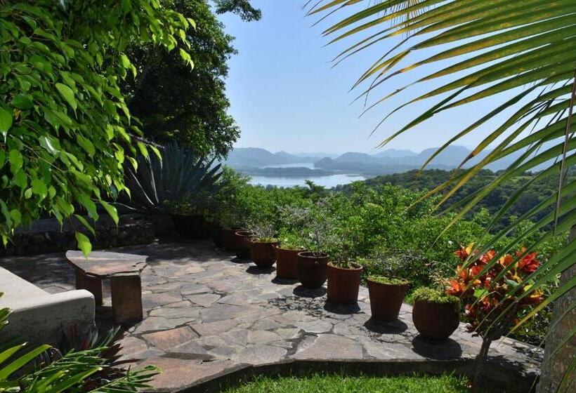 פנסיון The Mayan Grouper