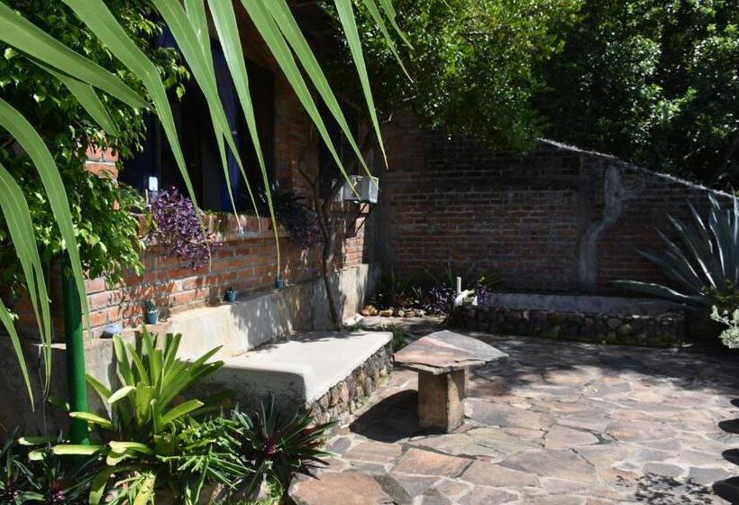 פנסיון The Mayan Grouper