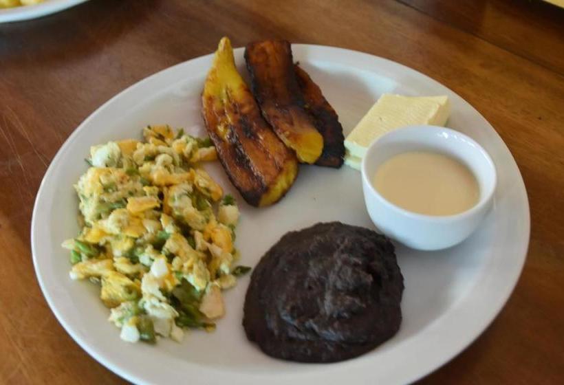 פנסיון The Mayan Grouper