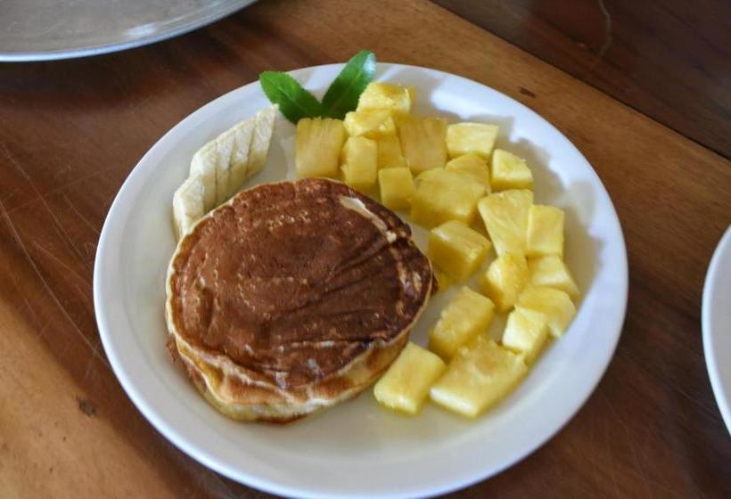 פנסיון The Mayan Grouper