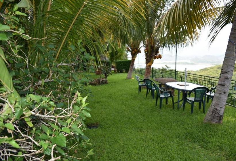 פנסיון The Mayan Grouper