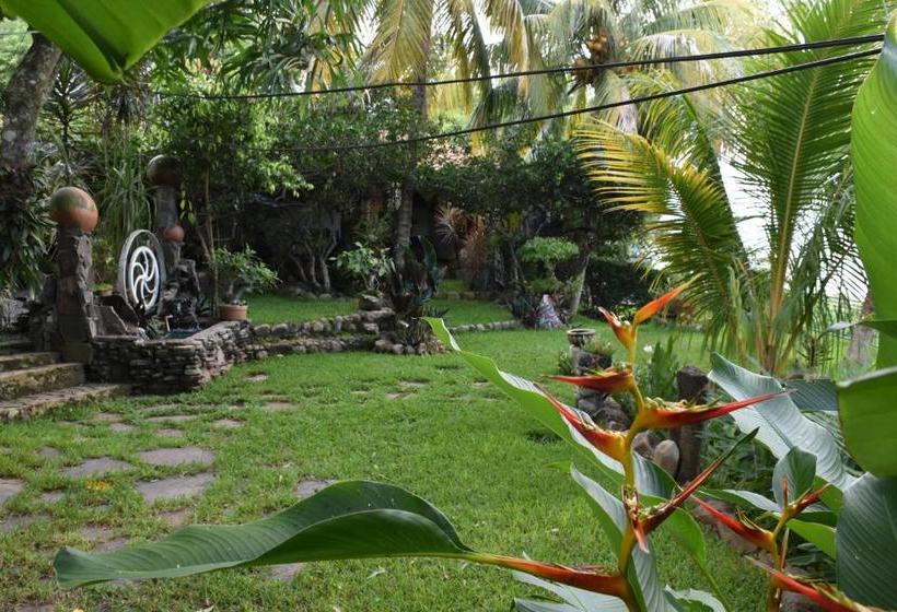 פנסיון The Mayan Grouper