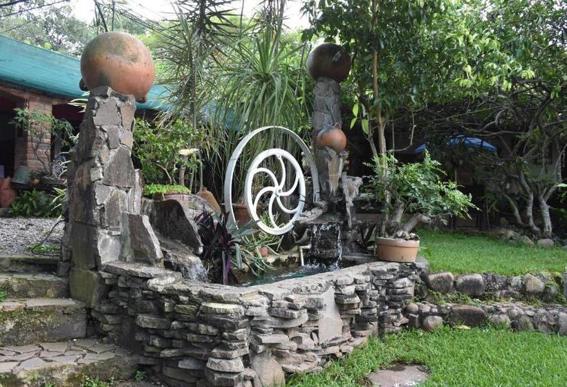 פנסיון The Mayan Grouper