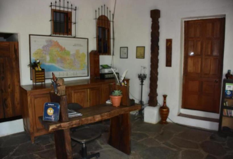 פנסיון The Mayan Grouper