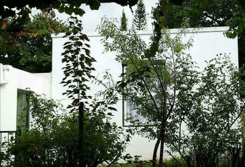 פנסיון Winterson En Somerkoelte