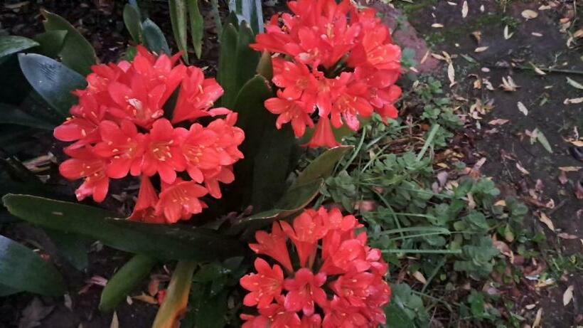 פנסיון Winterson En Somerkoelte