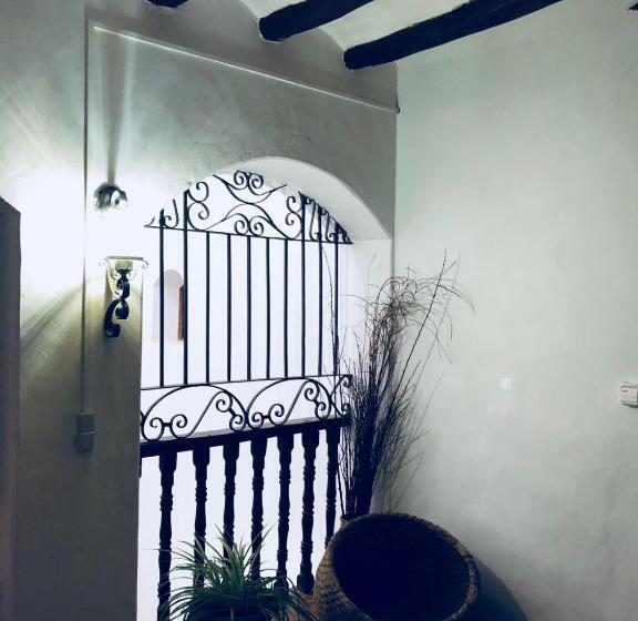 הוסטל Casa Albano