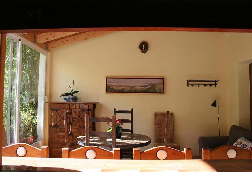 Общежитие Casa Antiquary