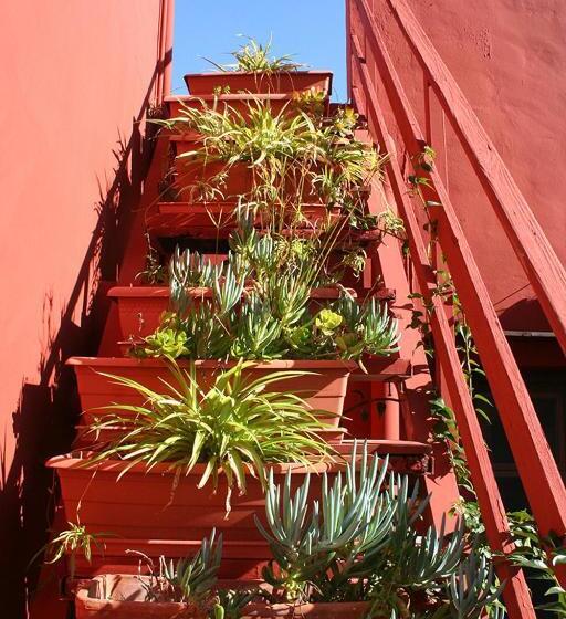 Общежитие Casa Antiquary