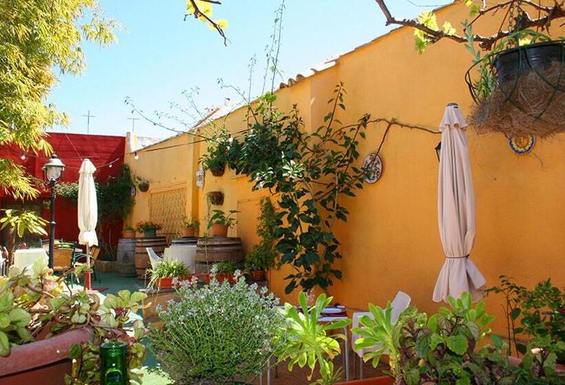 Общежитие Casa Antiquary