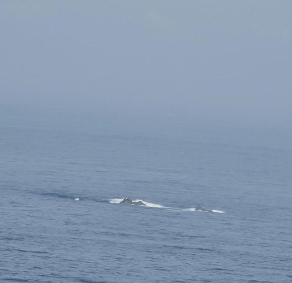 Пансион Hospedaxe Don Manuel