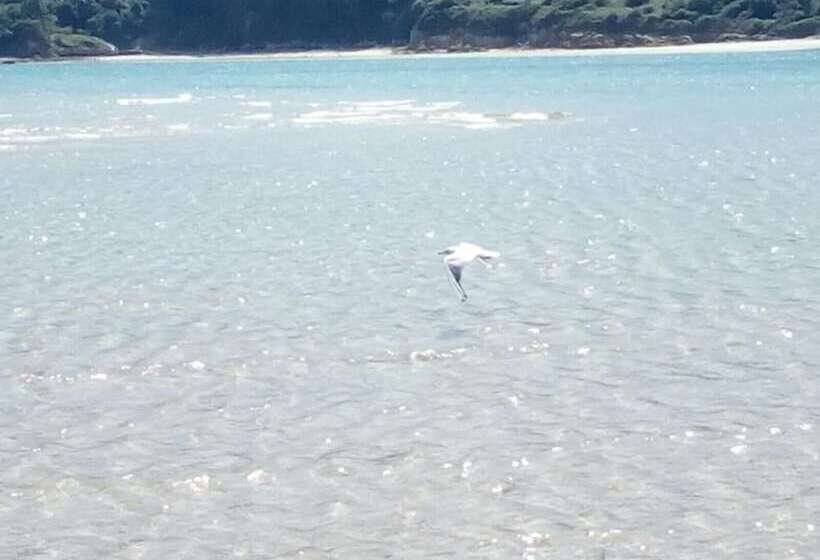 Пансион Hospedaxe Don Manuel