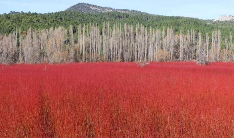 بنسيون Hostal Cañamares