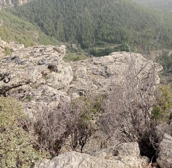 بنسيون Hostal Cañamares