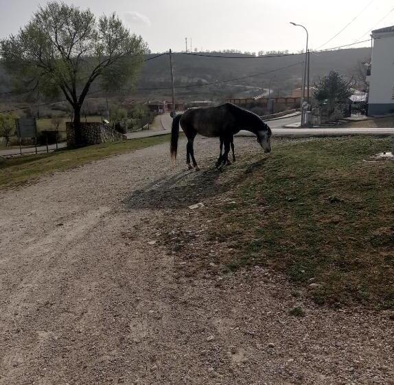 بنسيون Hostal Cañamares