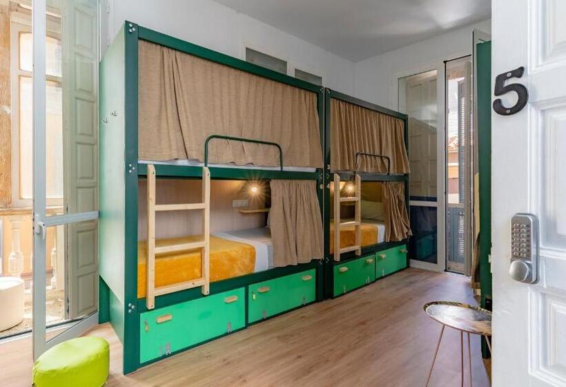 The Urban Jungle Hostel