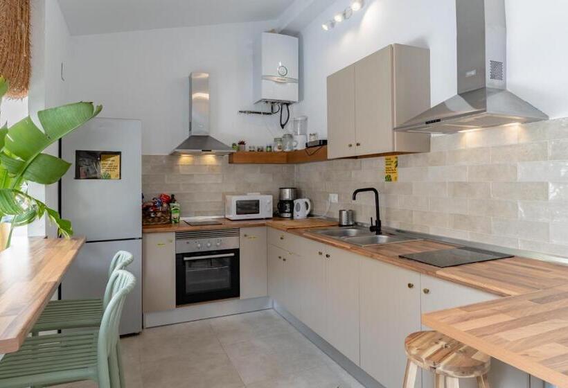 The Urban Jungle Hostel