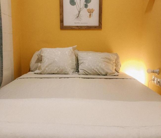 The Urban Jungle Hostel