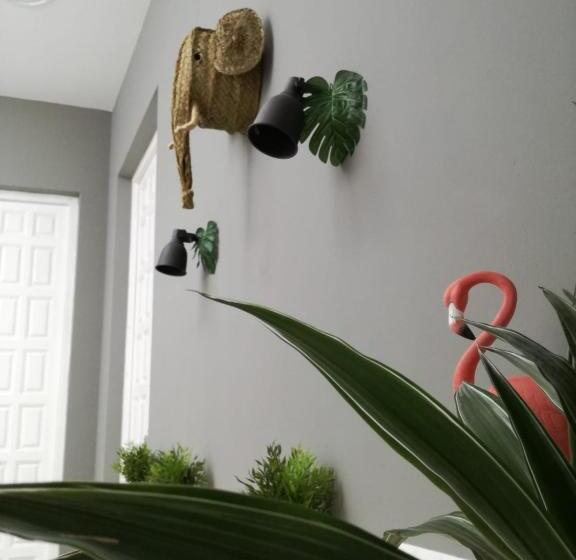 The Urban Jungle Hostel