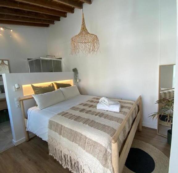 The Urban Jungle Hostel