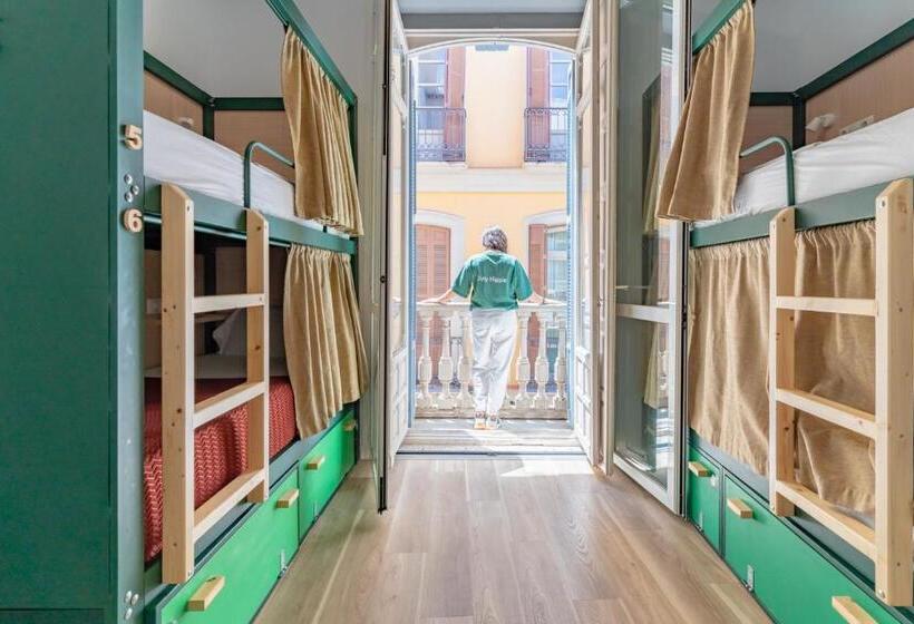 The Urban Jungle Hostel