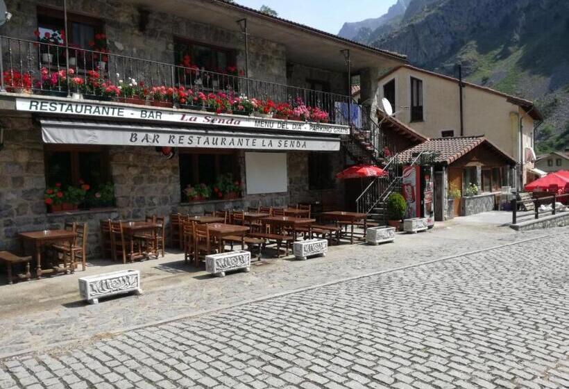 Пансион Hostal Casa Tino