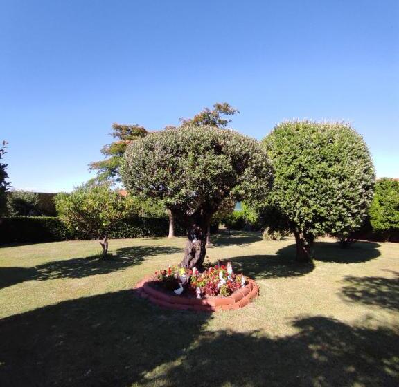 Pension Casa Carmela