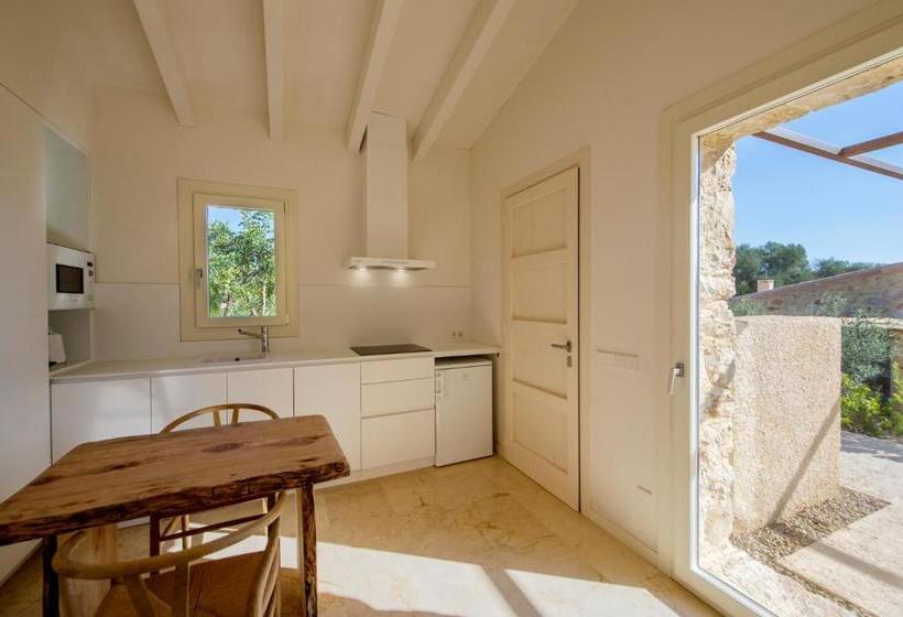 酒店 Es Lligats Agroturismo   Adults Only