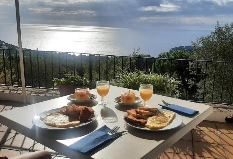 هتل Hostal Sa Barraca   Adults Only