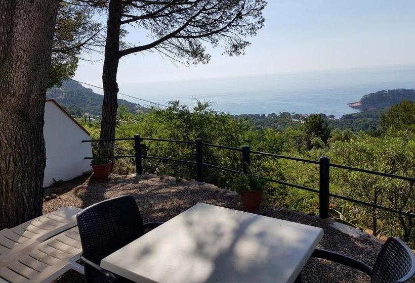 هتل Hostal Sa Barraca   Adults Only