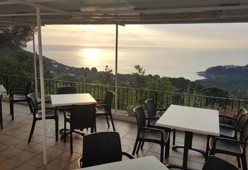 هتل Hostal Sa Barraca   Adults Only