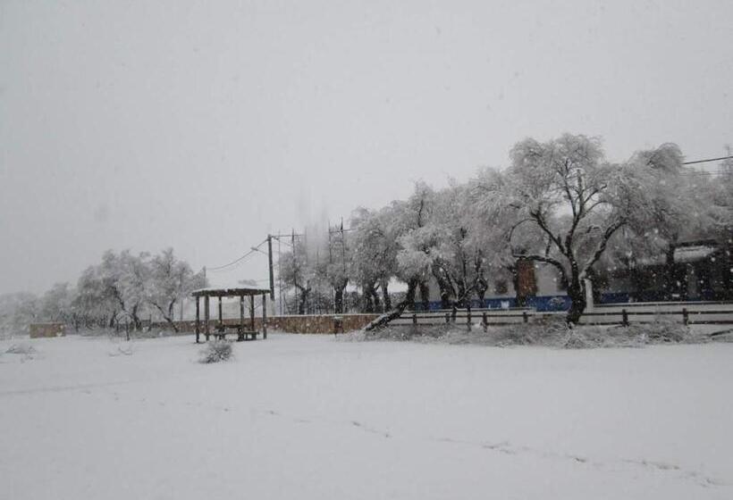 פנסיון Las Banderas