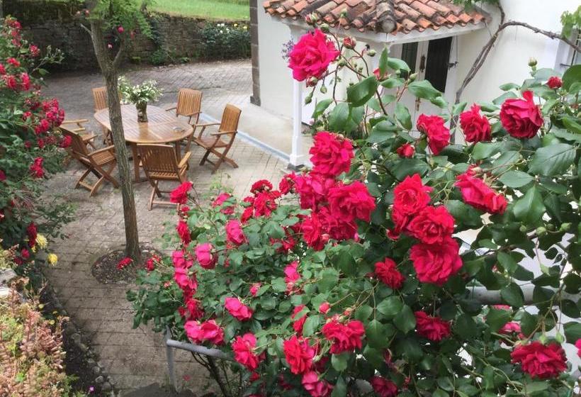 پانسیون Villa Elena