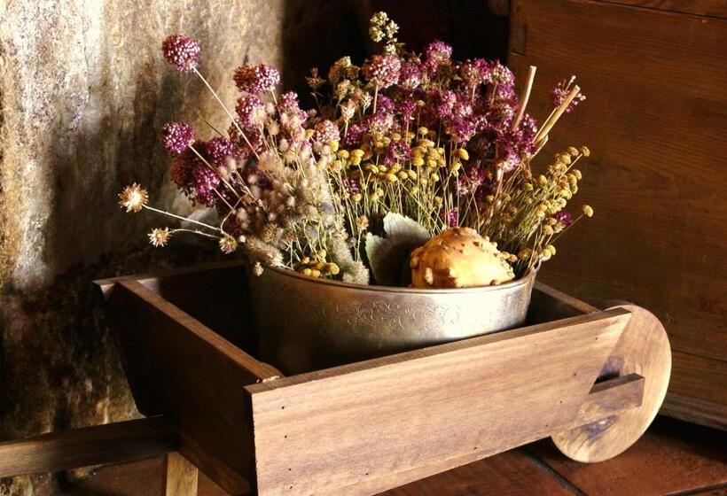 호스텔 Posada La Gatera