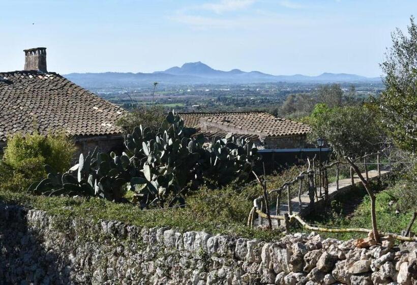 酒店 Finca Sa Cova Vella